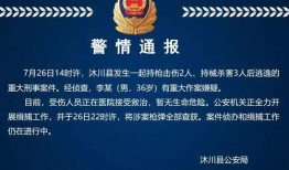 湖北最新爆料案件最新消息